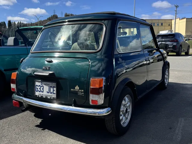 MINI classique vert foncé, trois quarts arrière.