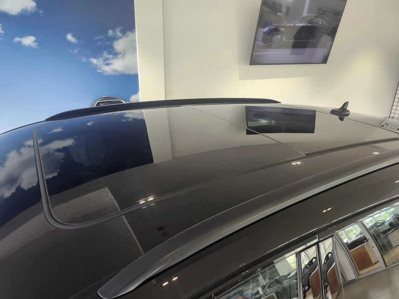 2023 Audi SQ5 Progressiv Main Image
