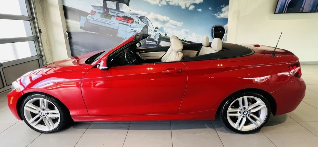 BMW 228i xDrive 228i xDrive 2015