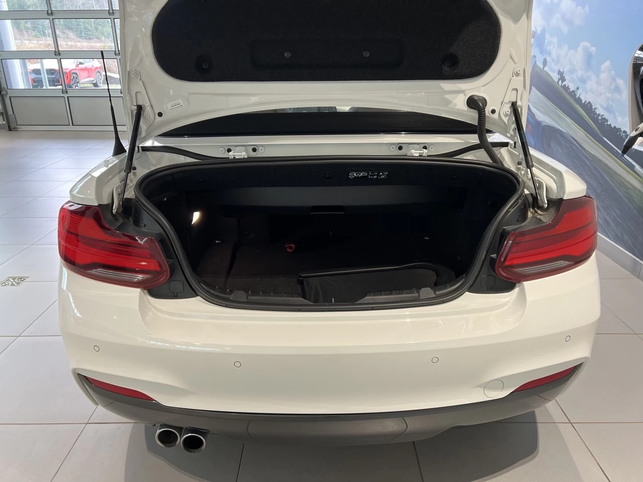 2021 BMW 230i xDrive 230i xDrive Cabriolet Image principale