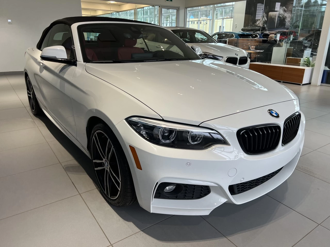 2021 BMW 230i xDrive 230i xDrive Cabriolet Image principale
