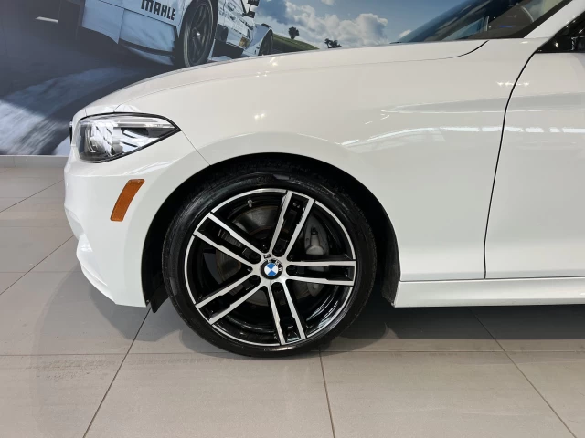 BMW 230i xDrive 230i xDrive Cabriolet 2021