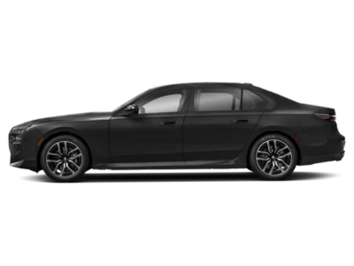 Profile, Facing to the Left