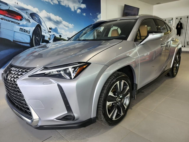 Lexus UX 300h 2025