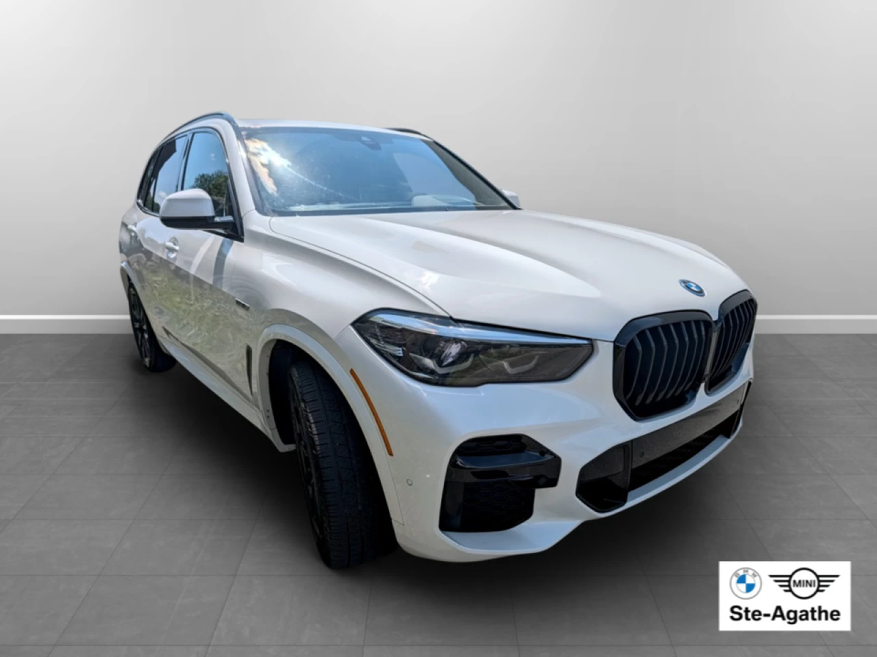 2023 BMW X5 X5 xDrive45e Image principale