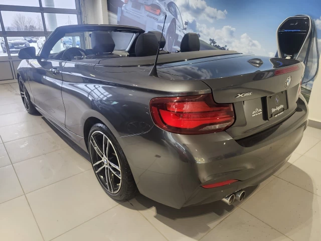 BMW 2 Series 230i xDrive Convertible 2020