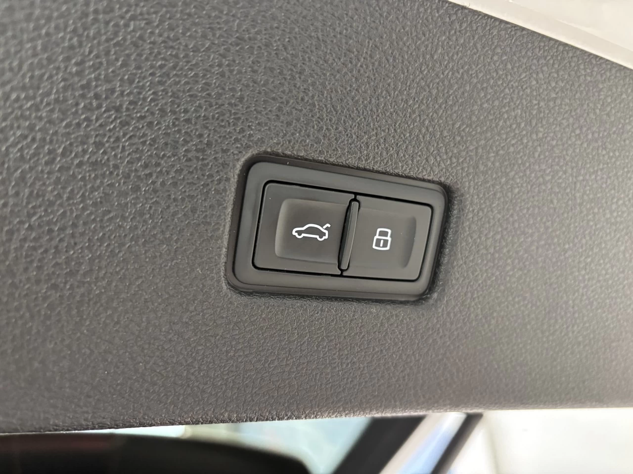 2019 Audi Q8 Technik Image principale