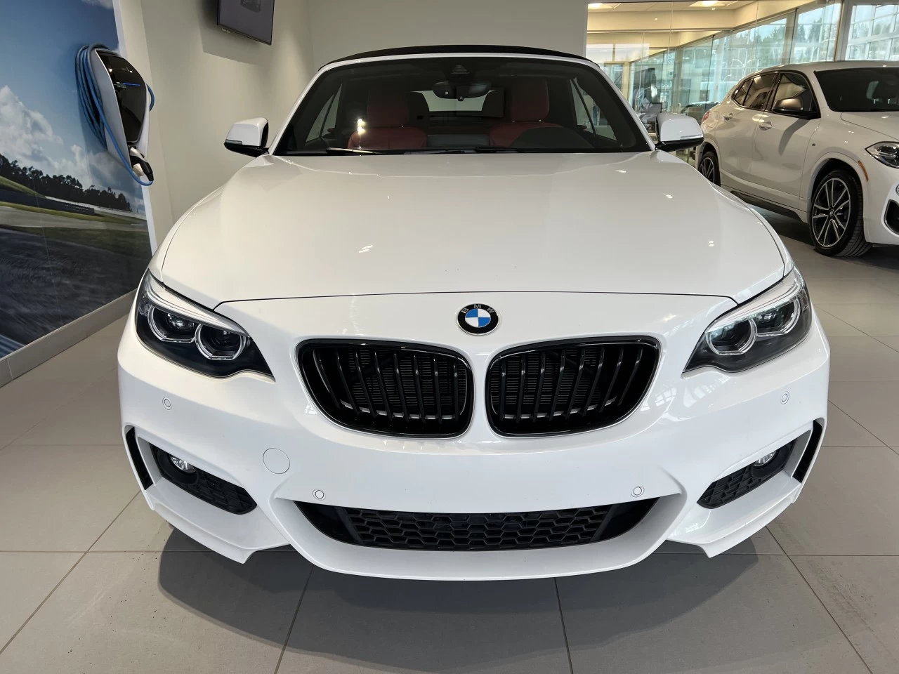 2021 BMW 230i xDrive 230i xDrive Cabriolet Image principale