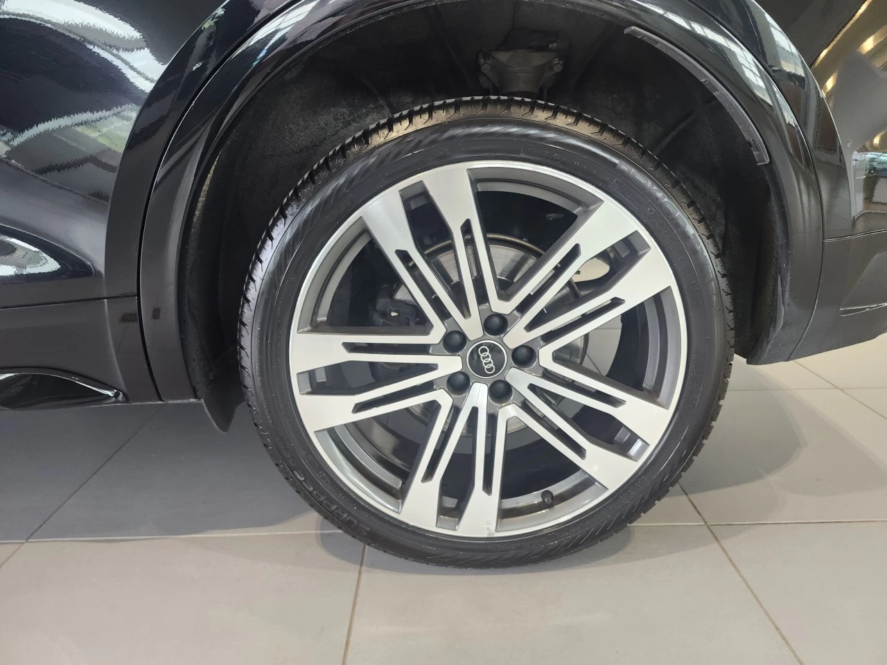 2023 Audi SQ5 Progressiv Main Image